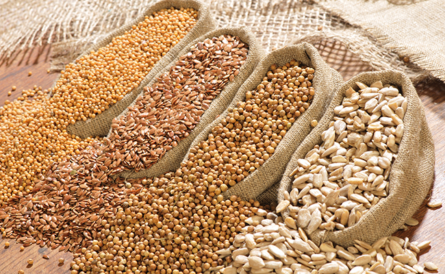 Processing all oil seeds