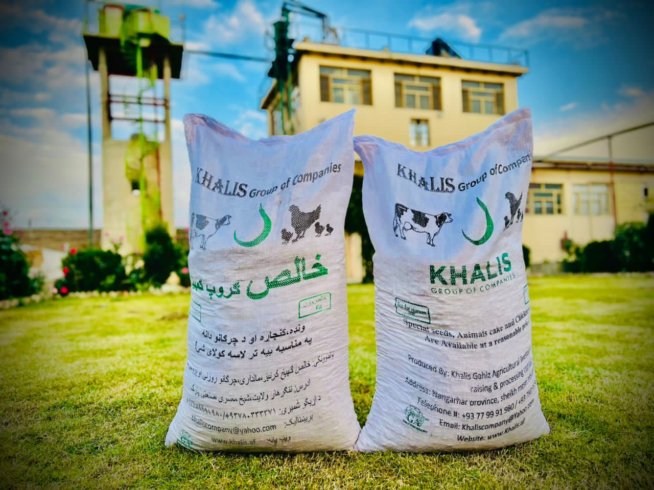 Concentrated Animal Feed